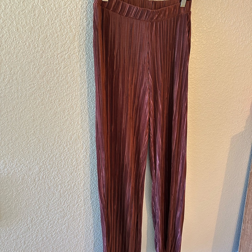 Zara Elastic Pleated Pants